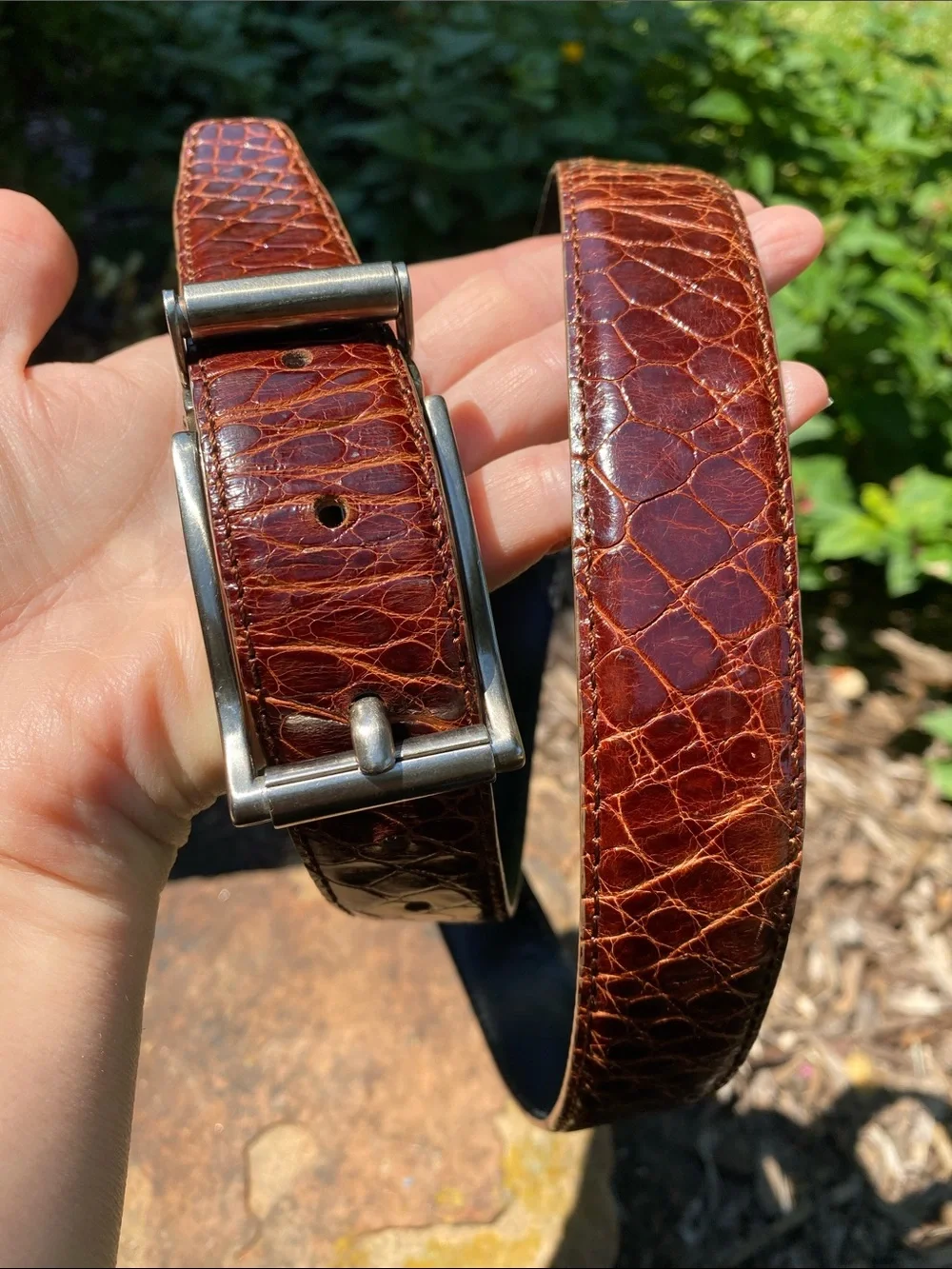 TARDINI Brown Alligator Men’s Belt